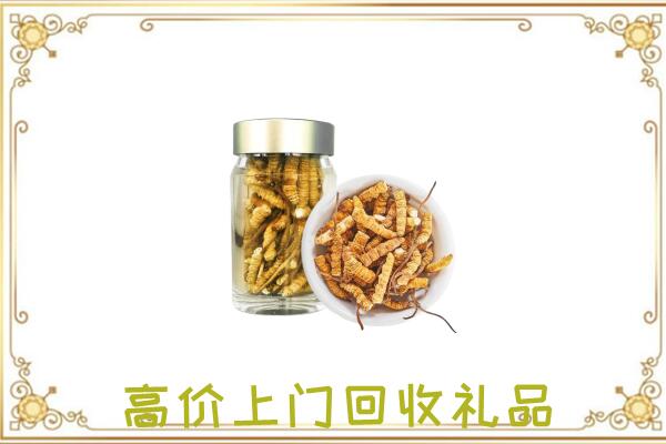 庆阳周边回收虫草